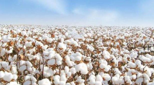 耐克|H&M下滑28%,阿迪下降15%,耐克大跌20%,洋品牌在华为何失宠?