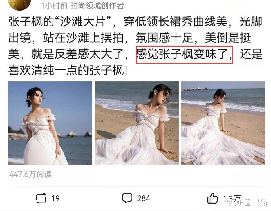 吴宗宪|张子枫在沙滩上拍大片，穿低领长裙大秀曲线美，被质疑变味了