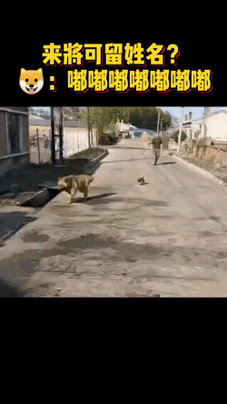 萌萌萌说|白素贞飞行的时候为什么要把一只手往前伸?哈哈哈哈原来是这样~