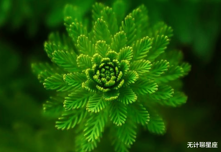 印度|10月份，顺利逆袭的4个星座，让人刮目相看，全凭自己的努力