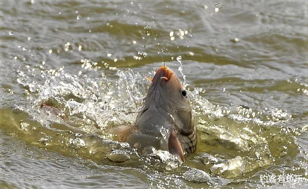 |钓鱼时钓灵钓钝真能搞懂?调平钓二与调二钓四水底状态是否一样
