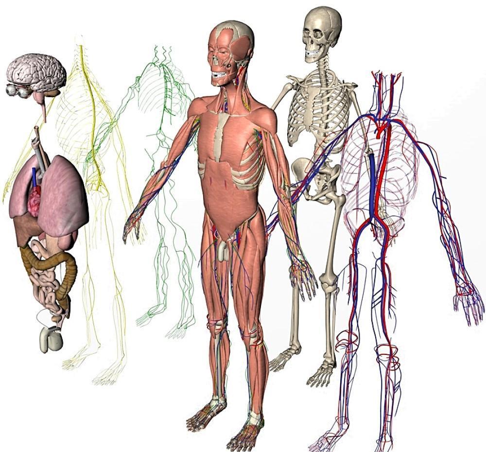 科学家|为什么科学家总是拿小白鼠做实验，它到底特殊在哪？