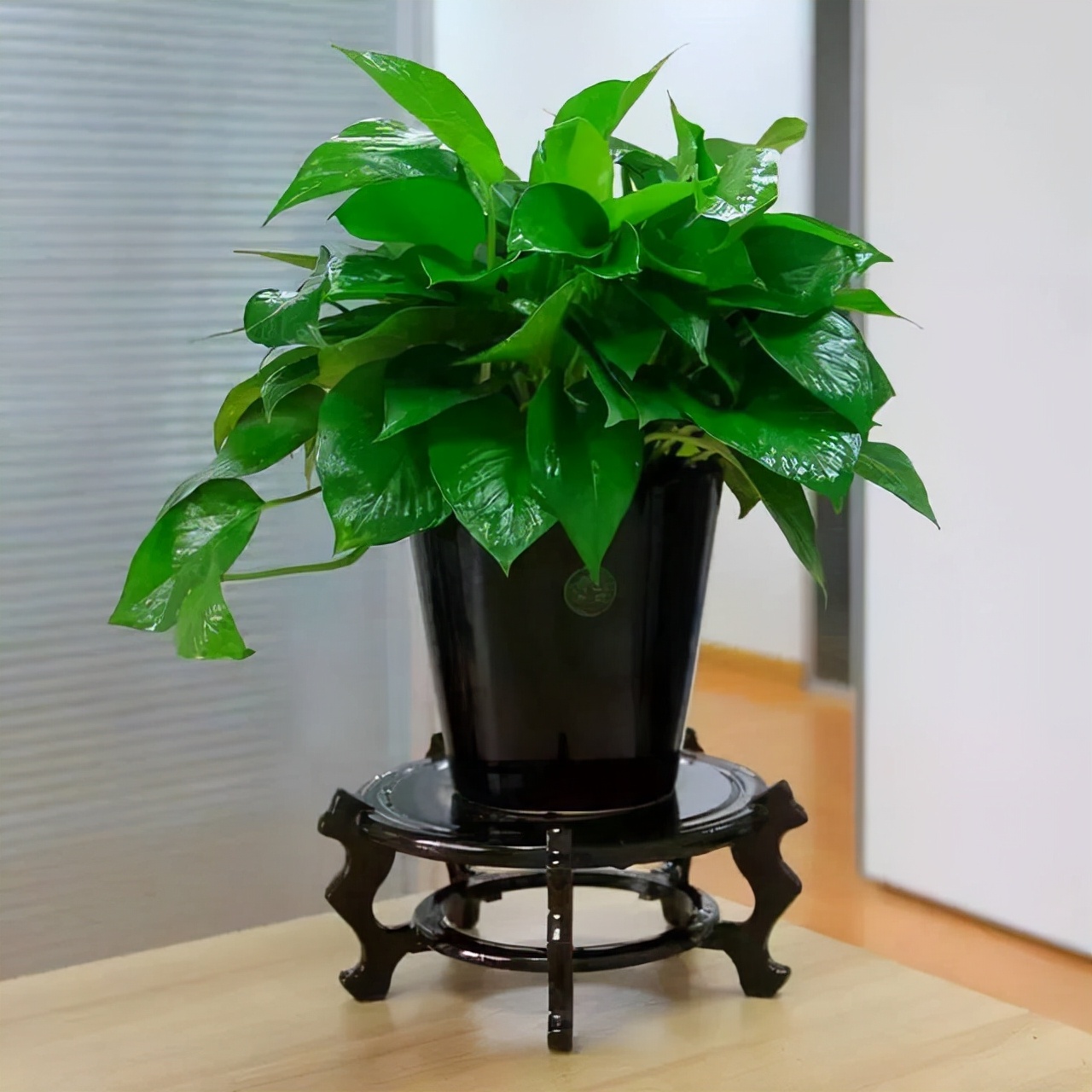 想要早点入住新家,那一定要学会4个去甲醛的方法,让你放心入住