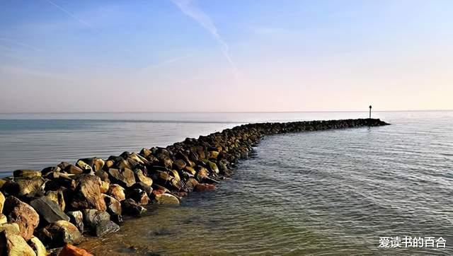 爱读书的百合|父母给孩子最好的教育,从灌输正确的三观开始