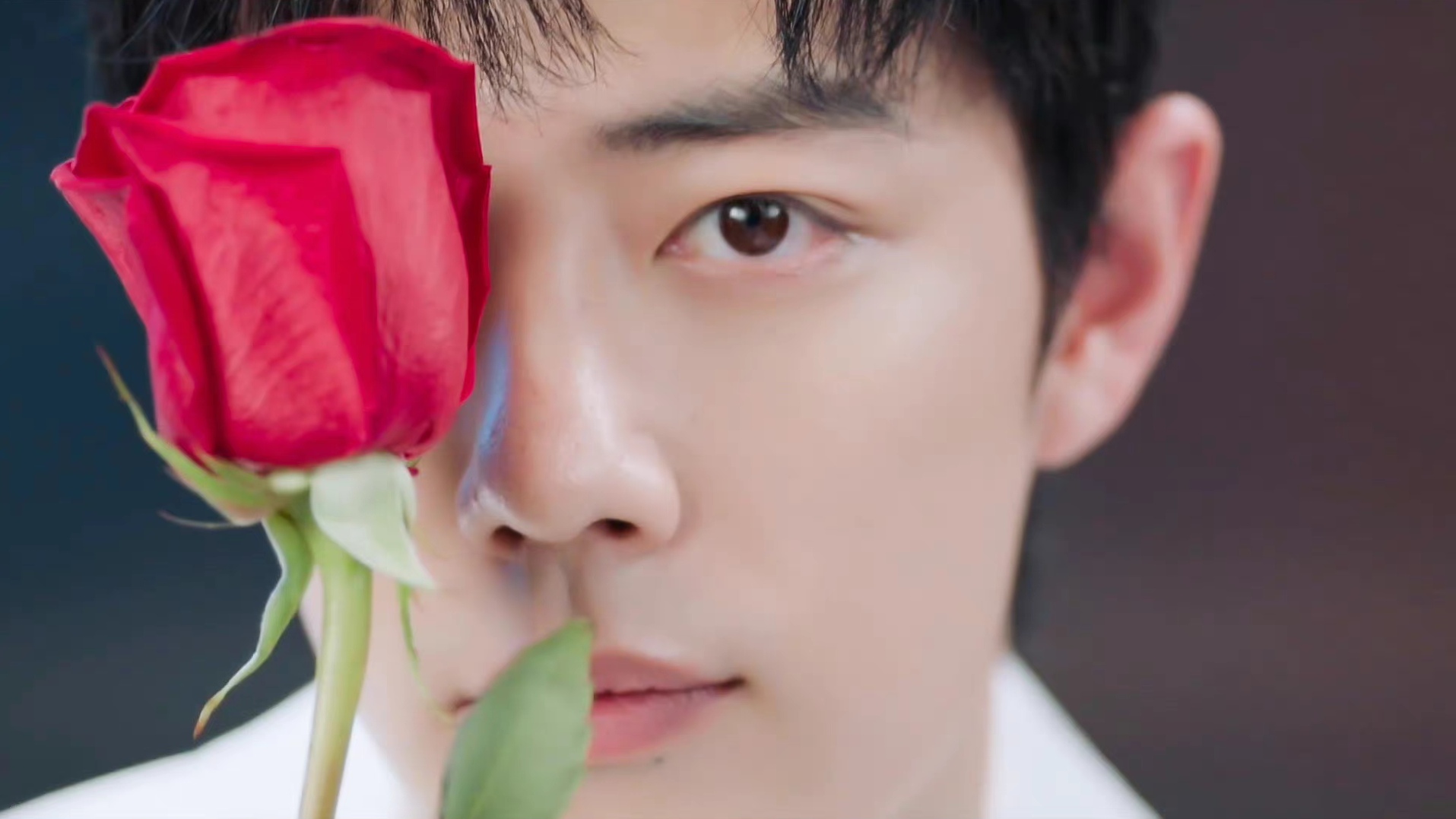 肖战|无海外出道经历的肖战拿下顶奢，国际名人点赞，被认可的东方面孔