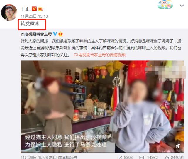 蒋勤勤|《当家》虐猫事件再升级！评分跌至3.5，蒋勤勤直呼演员不背锅