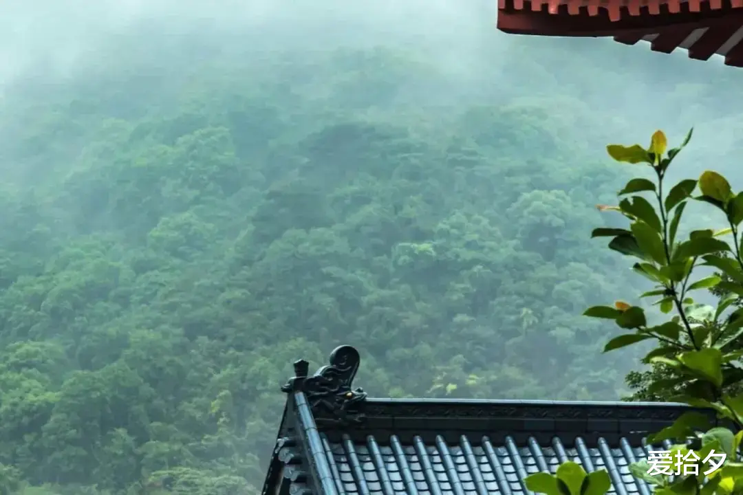 爱拾夕 不好的婚姻，离婚要趁早