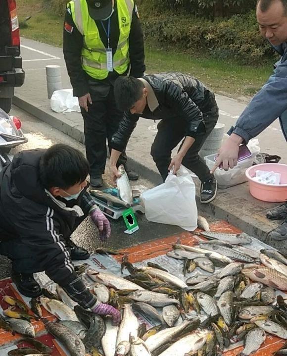 深圳市|深圳2钓鱼人当街卖鱼,大小不论统统15元,网友:怎么不像是钓的