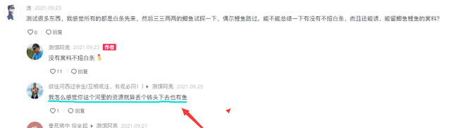智商税|用压缩饼干打窝钓鱼，水下相机记录全过程，网友：别交“智商税”