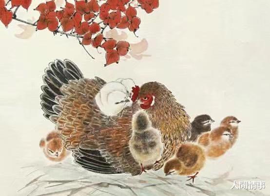 人閒情事|月底开始，财喜临门，贵人相助，日子红红火火的生肖，生活脱胎换骨
