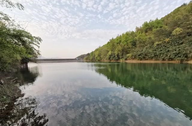饵料|钓鱼怎么会“上瘾”的？只怪这4点诱惑太大，真叫人欲罢不能
