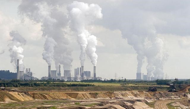 家中大小宝|“物竞天择，适者生存”！大自然不断“淘汰”物种，是它太残酷？