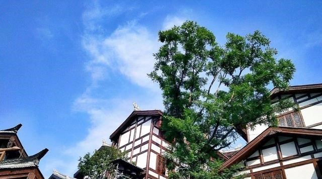 四川省 四川一5A级景区走红，听着名字便已心动，门票120游客不断