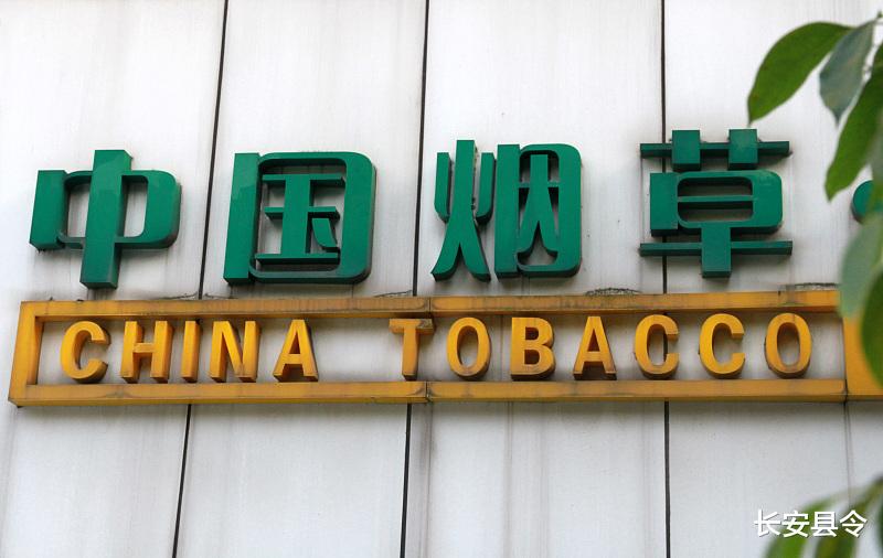 招聘|烟草系统招聘工作人员?哪些专业的人更容易进入烟草局(公司)工作?