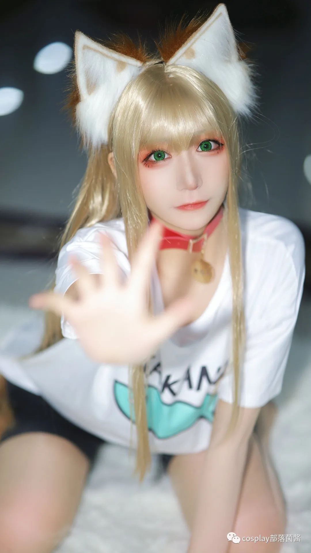 |cos：40原黄豆粉猫娘场照@赤瞳