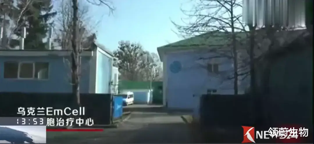 科学家 60W干细胞抗衰针打出肿瘤？被误伤的间充质干细胞有话说