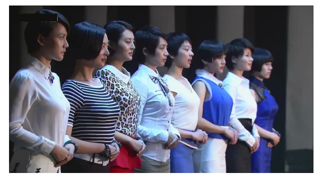 戴向宇|《特种兵之火凤凰》回顾，八位女主演一个没火，小配角万茜红了