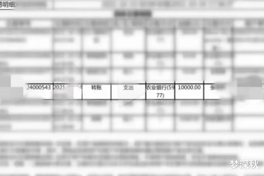 男子趁女友熟睡偷转1万元,并淡定陪其去报案: 记录我都删除了不可能查的到!