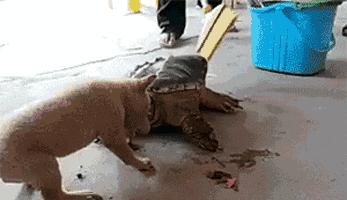 咸蛋的小姐 医生问我看到了什么？我说有一群人在游泳，网友：放大再看看