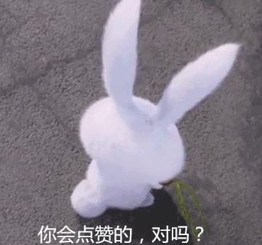 球妹子 高以翔焦俊艷在戲中為何如此默契般配？看似普通人的小秋魅力在哪