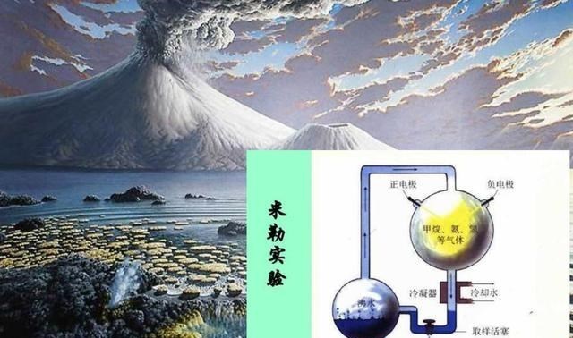 刺揪 人类是土生土长的地球生物，还是外星物种？或者本身就是外星人？
