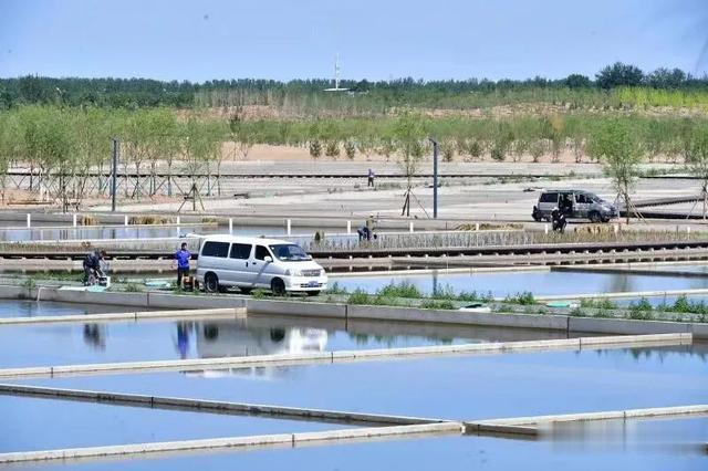 |主体竣工!副中心将添一座开放式水景公园!可垂钓滑冰、休闲游玩…