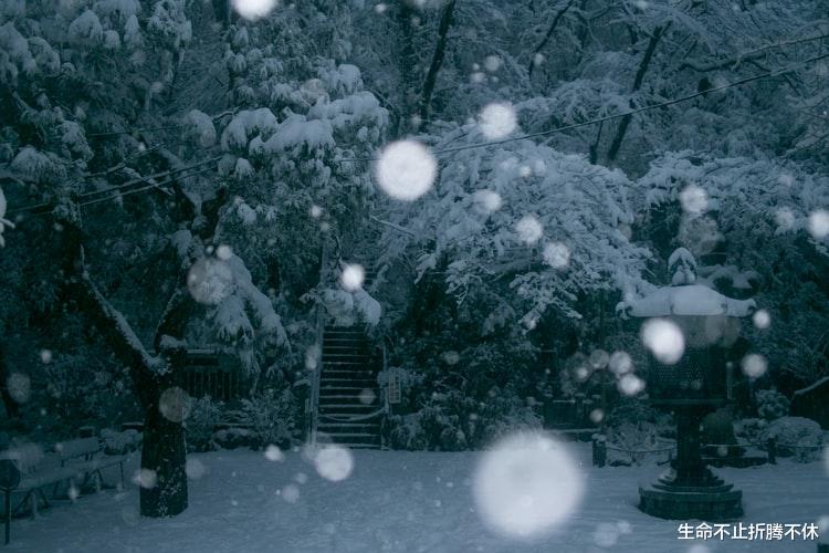 生命不止折腾不休|拎不清的人背后,是不是都有拎不清的父母?