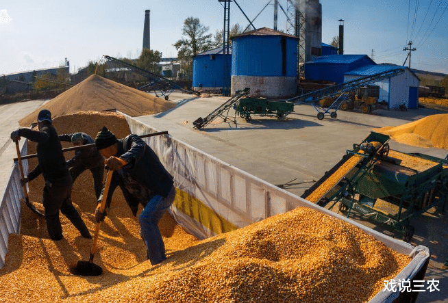 粮价 继牛羊肉疯涨之后，又一必需品上涨50%！新一轮“涨价潮”来了？