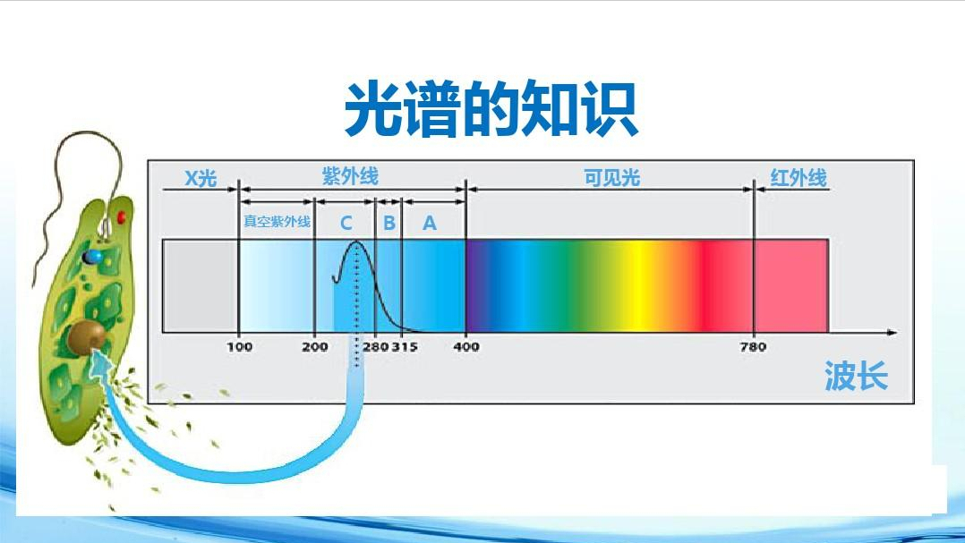为什么说“紫色”并不存在?难道我们看到的颜色都是幻觉吗?