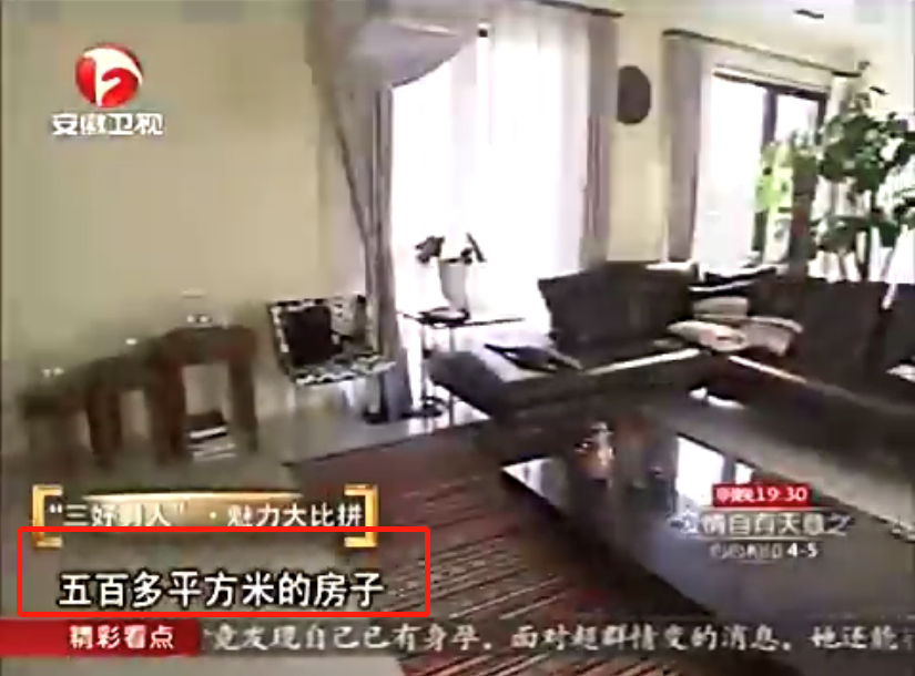 64歲張豐毅豪宅內景曝光！在北京面積達500平，裝修奢華彰顯檔次-圖6