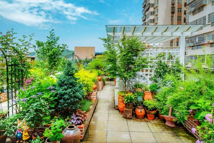 四楼80㎡荒废露台，DIY打造空中小花园，成了朋友们聚会的打卡地