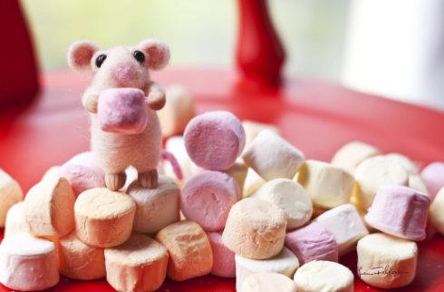 肠胃|什么样的饮食会促炎症