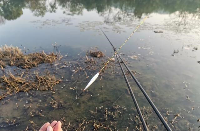 摩尔庄园|冬季钓鱼问得最多的问题，我给你们圈出了7个，记住、要考！