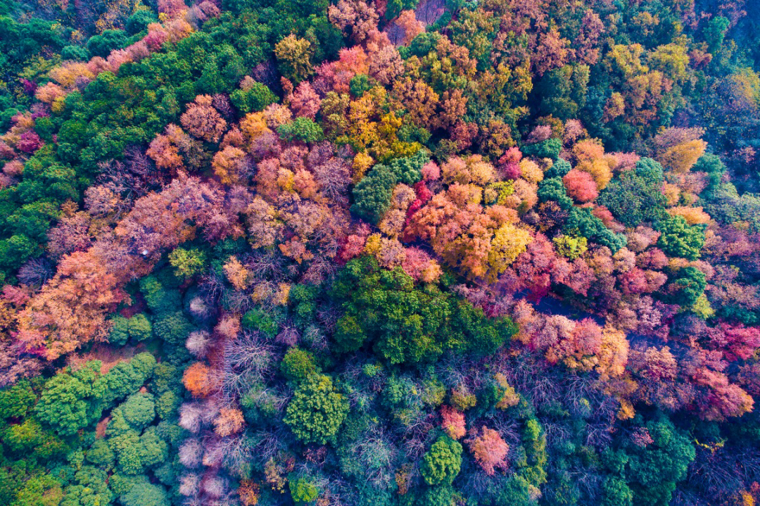 大气氧含量或重回24亿年前，地球可能发生颠覆性转变？咋回事？