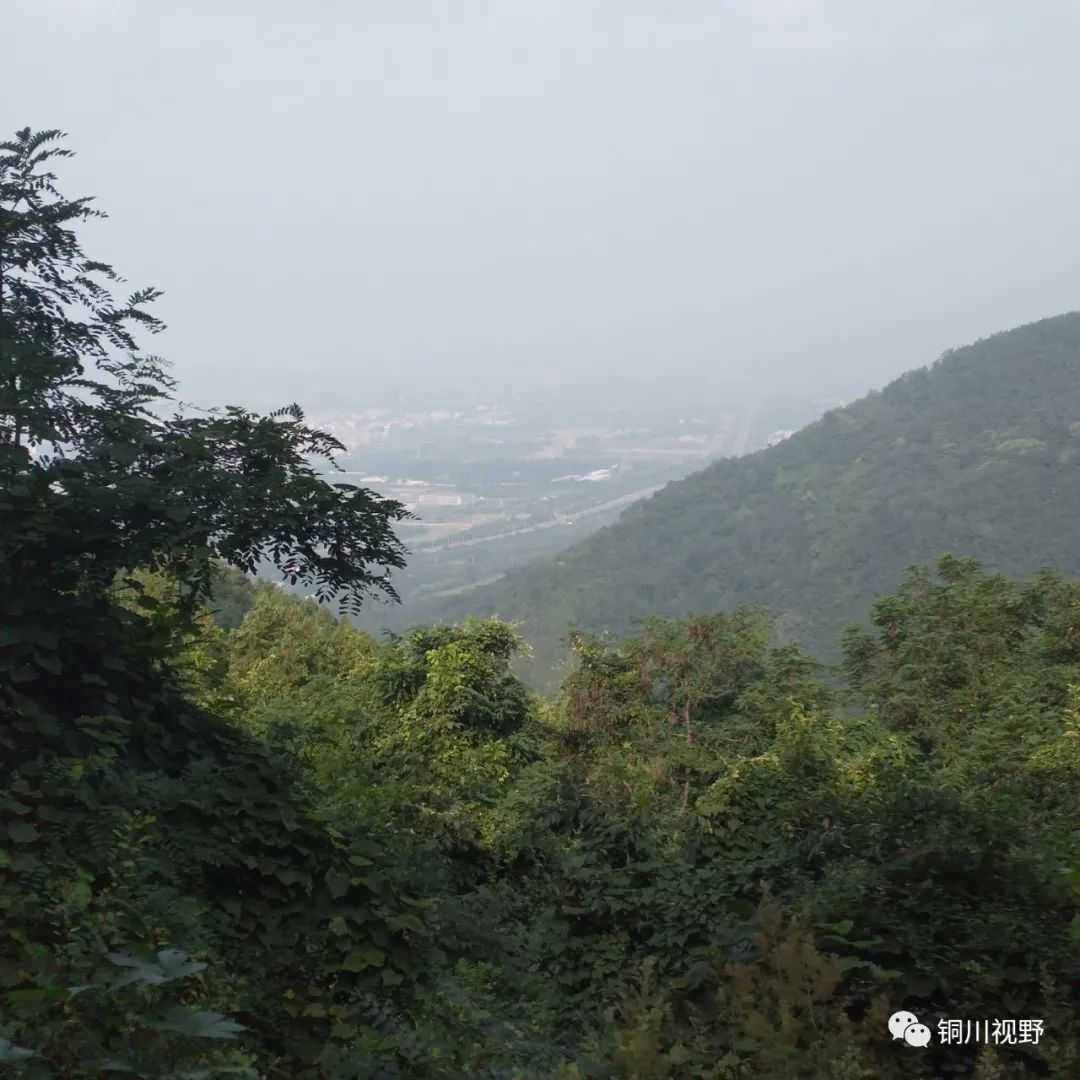 秦岭|秦岭脚下有个牛头山，暑天时节爬山真是挥汗如雨