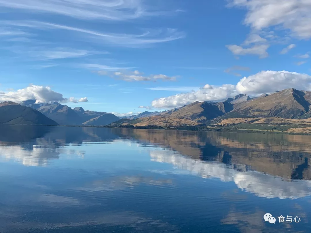食与心|生活在童话般美丽的国度,新西兰人比中国人更健康吗?