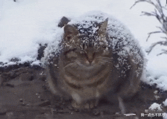 萧敬腾|萧敬腾上亿豪宅曝光后，我却看到了这个和尚