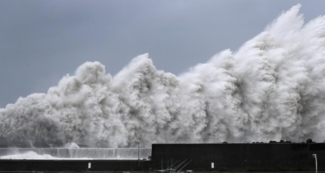 若50米高的海啸来袭，是跑向内陆好，还是迎面扎进水里好？