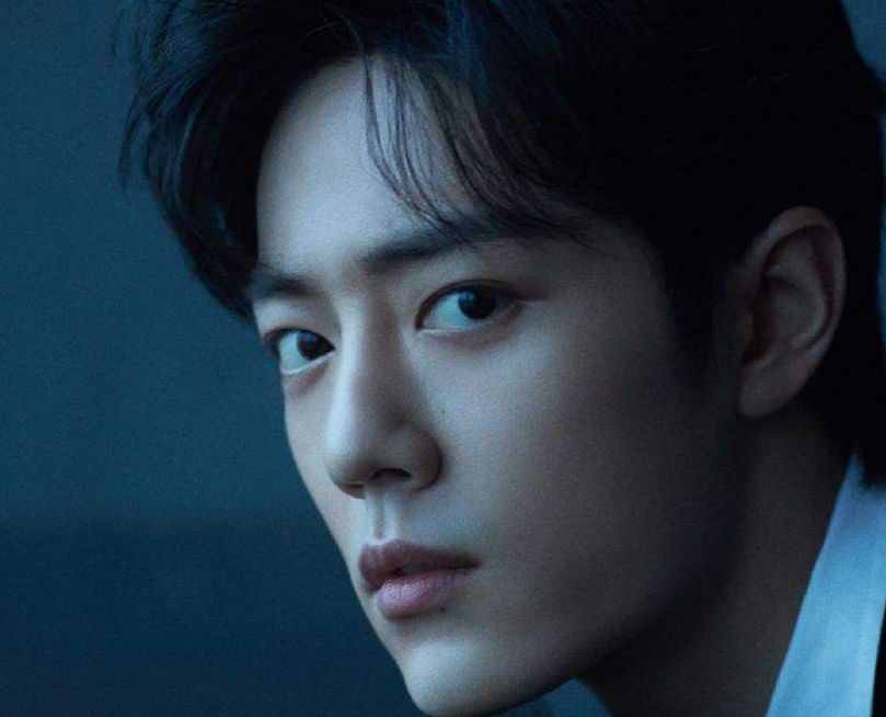 肖战|肖战新剧角色曝光，搭档实力派演员苗苗，明年一月开机