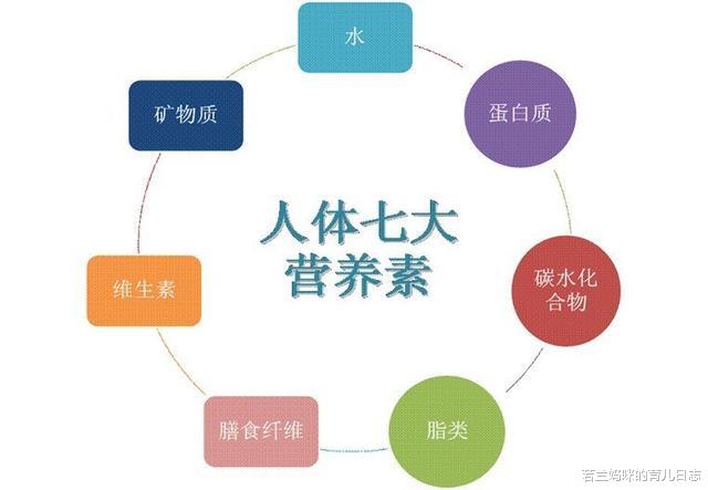 若兰妈咪的育儿日志|孩子的身高需要管理！抓好3个关键因素，矮个父母也能养出高个孩子