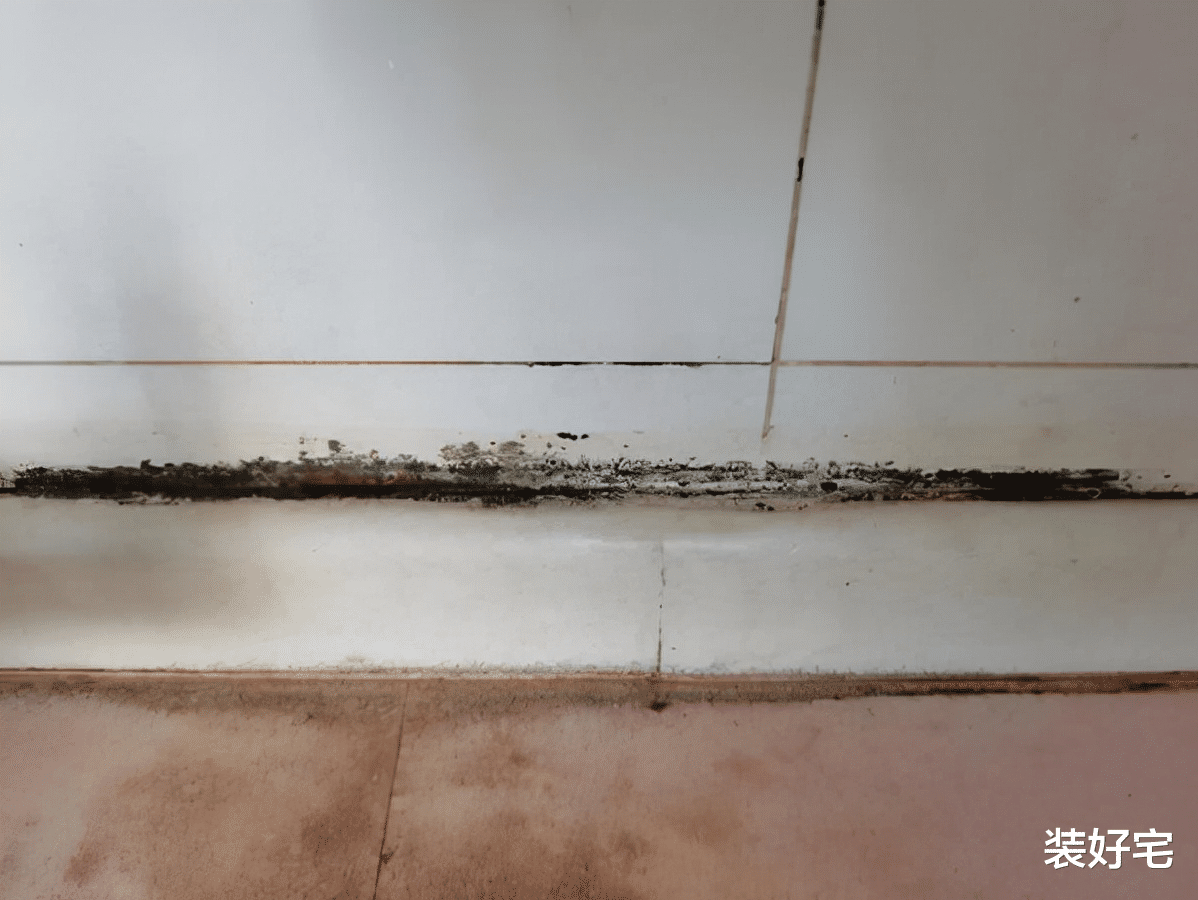 |庆幸当时没听爸妈的，坚持买了这4样家居好物，太实用了