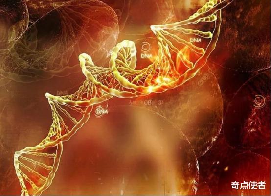 基因 达尔文错了？黑种人和白种人黄种人存在基因差异，不是一个祖先？