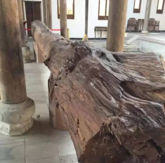 |这根黄花梨两个亿，租一天十万！