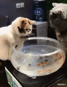 学姐说育儿|“女友在健身房工作，女教练订做的工作服，怪不得一节课800”，哈哈哈哈～