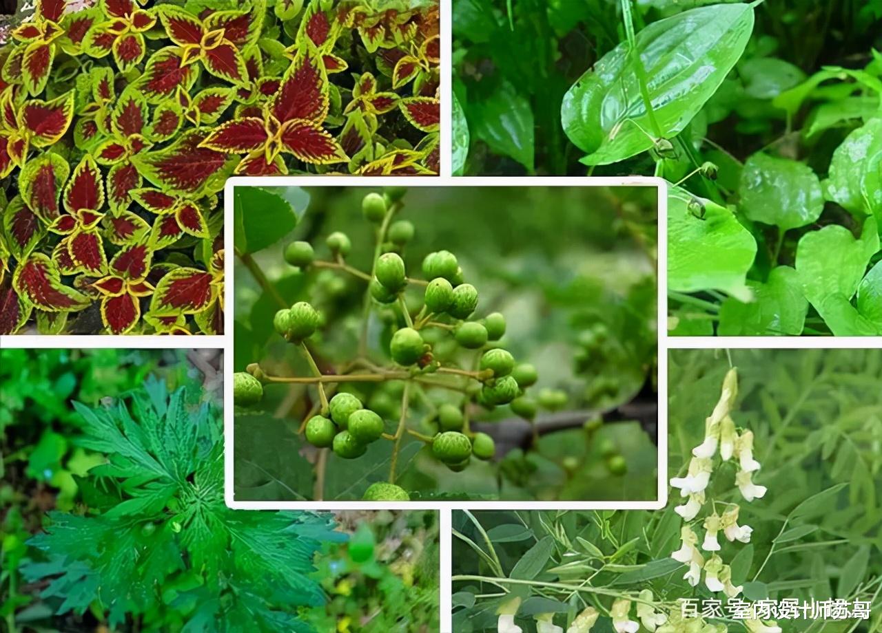 室内设计师苏哥 被子放久了有异味？教你1招，干净杀菌，比晒管用多了！