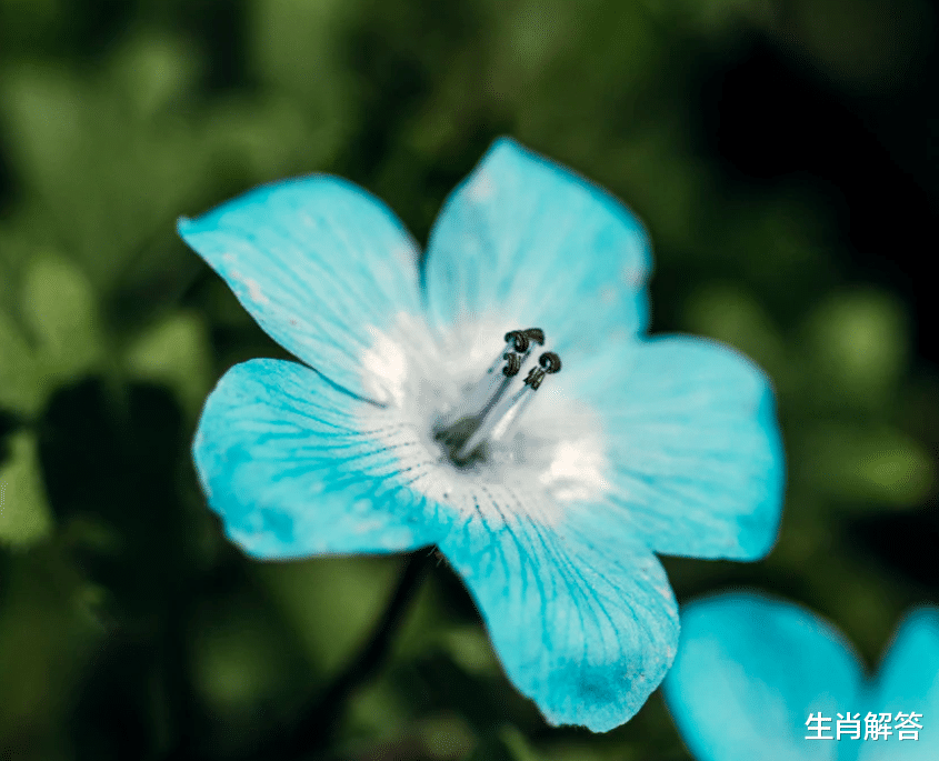 生肖|6月下旬，熬走苦日子，走出阴霾，3生肖得到贵人指路，咸鱼翻身