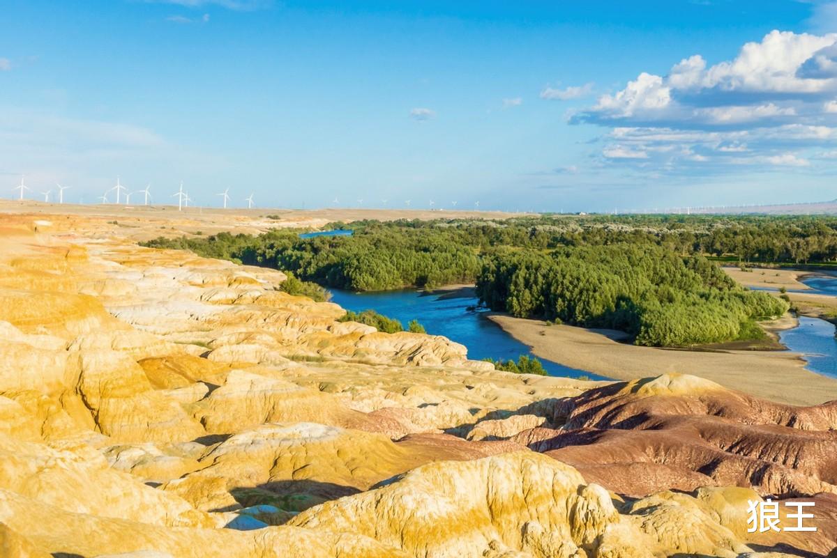 狼王 养父母去世留下巨额遗产,女孩拒绝亲生父母的突然认亲!