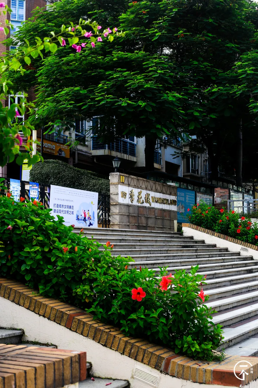 深圳市|深圳五和，一个我不配住的地方！
