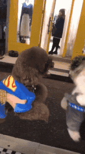 歪骆驼|“这年头，没点功夫就送快递怎么行”