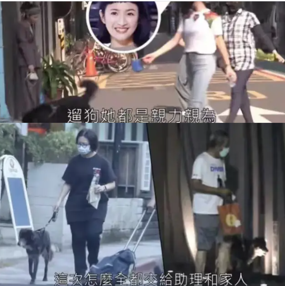 张鹤伦|恭喜林依晨，踏入了人生新的阶段，有了新的身份